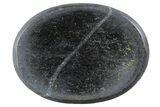 Polished Pyrite Worry Stones - 1.5" Size - Photo 2